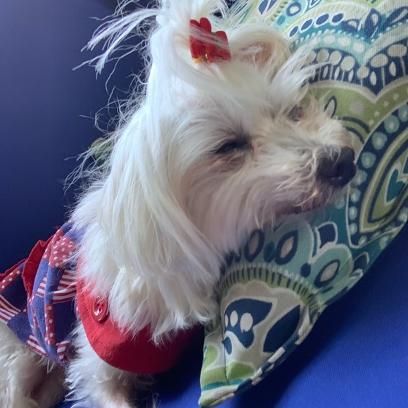 Welcome to my closet ๐ - Picture 2 of 3